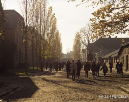 Impact Report: Auschwitz-Birkenau Bearing Witness Retreat