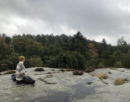 Introducing ZPI Affiliate Group: Svalornas Sangha - Peacemakers Sweden