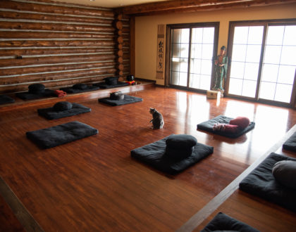 Sangha in the Time of Covid-19