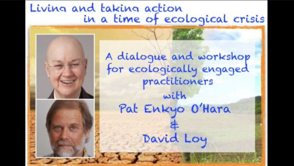 Living and Taking Action in a Time of Ecological Crisis